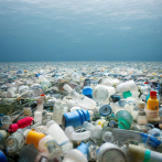 Hongos devoradores de plástico, una posible arma contra la polución
