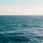Científicos de todo el mundo debaten sobre los problemas del ruido humano en el mar