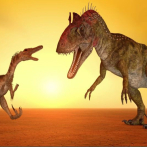 Investigación revela que los dinosaurios fueron los primeros en entender la perspectiva de los demás