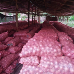 Ministro de agricultura afirma no le debe “un solo centavo” a los productores de cebolla