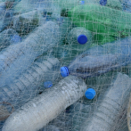 EE.UU. activa plan para eliminar plásticos desechables en parques nacionales