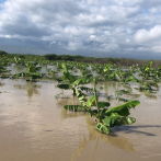 Lluvias inundaron pueblos, destruyeron cultivos, viviendas, puentes y calles en el Sur