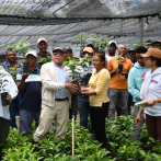 Distribuyen dos millones de plantas de café en zonas productivas