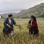 Las mujeres mandan en la isla griega de Cárpatos