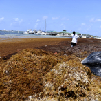 Países caribeños piden ayuda a los organismos internacionales para combatir el sargazo