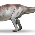 Nuevos fósiles cuestionan la supremacía de los dinosaurios pico de pato en el Cretácico