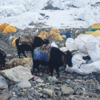 Expediciones al Everest han generado 84 toneladas de basura solo durante la temporada de primavera
