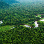 Crecimiento verde en Amazonía atraería miles de millones de dólares, según estudio