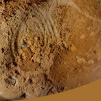 Grabados neandertales de 57.000 años hallados en una cueva francesa