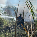 Bomberos forestales sofocan incendio en Monumento Natural Lagunas de Cabarete y Goleta