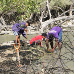 Restauración ecológica y reforestación: casos exitosos en República Dominicana
