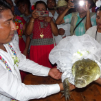 Alcalde mexicano contrae matrimonio con un caimán hembra en ritual ancestral