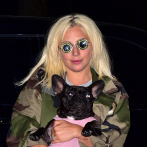 Lady Gaga no tendrá que pagarle recompensa a la mujer que encontró a sus perros