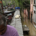 Cientos abandonan sus hogares en la India mientras sube el nivel del agua por las fuertes lluvias