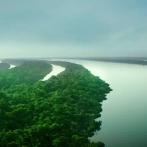 Países amazónicos lanzan alianza contra deforestación, pero sin metas comunes