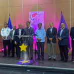 PLD denuncia irregularidades en los proyectos eléctricos de Manzanillo y Punta Catalina