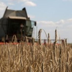 El precio de los granos sube por “riesgo de escalada” en Ucrania