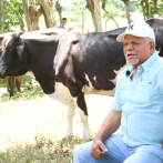 Ayudan a ganadero que perdió 17 vacas tras descarga eléctrica en Loma de Cabrera