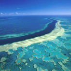 Gran Barrera de Coral queda fuera de la lista de patrimonio en peligro de la Unesco