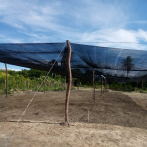 Agricultura y CEDAF construyen Casa Sombra para fortalecer alimentación familiar en Galván