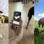 3DPets, empresa que utiliza capacidades del iPhone para crear prótesis impresas en 3D para cachorros