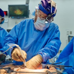Estados Unidos documenta caso más largo de funcionamiento de un riñón de cerdo en un cuerpo humano