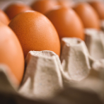 PLD exhorta al Gobierno bajar precios de producción de huevos