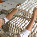 Llevarán miles de huevos podridos a plaza del Agricultor