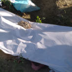 Surgen dudas por hallazgo de cuerpos de seis bebés en el cementerio Cristo Salvador