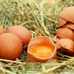 El huevo no se debe lavar con agua: Datos curiosos sobre este alimento