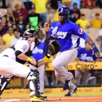 Ya llegó el torneo de la Liga Dominicana de Béisbol
