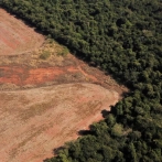 Calor record en Sudamérica se debe a la deforestación y falta de conciencia de los gobiernos