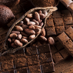 El FEDA ejecuta proyectos para elevar la producción y el consumo de cacao