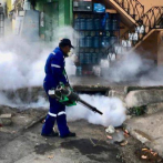 Salud Pública acciona y encabeza jornada de fumigación en Los Mina