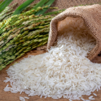 El que no come arroz no es dominicano, y por eso debe saber que hoy es el Día Mundial del Arroz