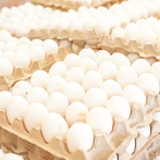 Gobierno dispone venta de cartones de huevos a RD$100 este jueves en 76 supermercados del país