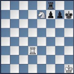 El ajedrez dominicano en red de mate