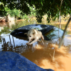 Más de 25 casas bajo agua por crecida del río Yuca, en Sabana Perdida