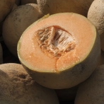 FDA retira del mercado estadounidense varias marcas de melón ante infecciones de salmonella