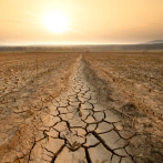 El caluroso 2023 empeoró sequías, inundaciones e incendios forestales