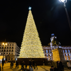 En tren de vapor visitantes viajan a conocer el árbol de Navidad más alto de Portugal