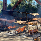 Productores de cerdo, pollo y huevos del Cibao están listos para abastecer la cena de Nochebuena