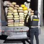 Hombre transportaba 46 pacas de marihuana camufladas entre limones y naranjas en Elías Piña