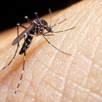 El país registró cerca de 28 mil casos de dengue el año pasado