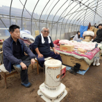 Un invernadero, el nuevo hogar para desplazados por el terremoto de Japón