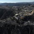 El mayor jardín botánico de Chile respira malherido tras los incendios forestales