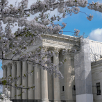 Washington celebra llegada de la primavera con la floración de cerezos