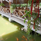 Excursión a Bonao: puedes pescar en estanque de parador