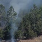 Bomberos apagan incendio forestal en dos comunidades de Constanza