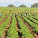 Administrador del Banco Agrícola felicita a los campesinos en el Día del Agricultor